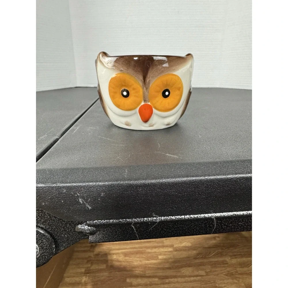 Owl Ceramic Ramekins Set Of‎ 2 Cookware Baking Novelty